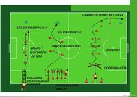 TRABAJO CONDICIONAL(Fuerza explosiva)