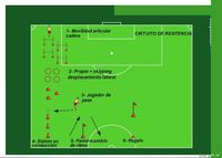 CIRCUITO DE ADAPTACION
